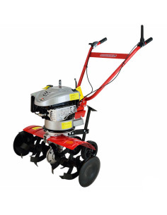 Мотофреза AGRIMOTOR Rotalux 52A-B55
