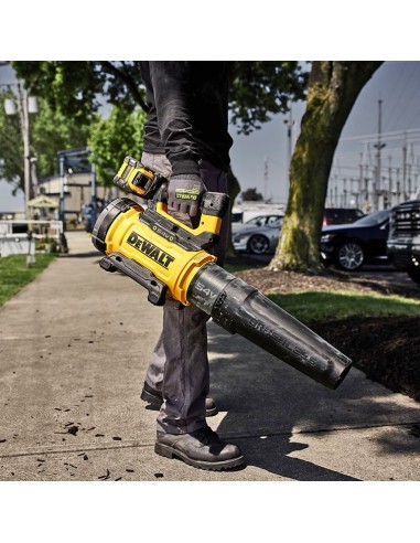 Акумулаторна духалка за листа DeWALT DCMBL777X1-QW Set, 54/18V, 3/9 Ah, 258 км/ч