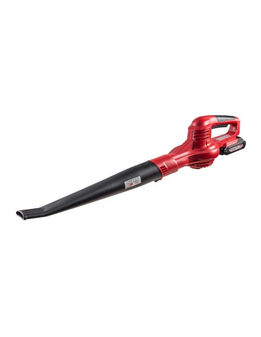 Акумулаторна духалка за листа RAIDER RDP-SBL20 Set, 20V, 2 Ah, 210 км/ч
