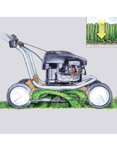 Бензинова самоходна косачка STIHL RM 3 RTX
