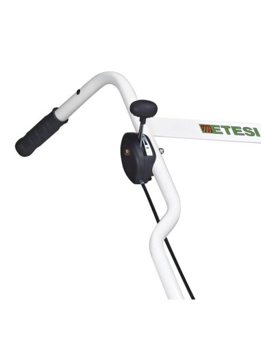 Професионален скарифатор ETESIA MSC45, 5.6 к.с., 45 см