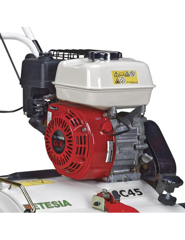 Професионален скарифатор ETESIA MSC45, 5.6 к.с., 45 см