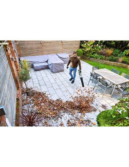 Акумулаторна духалка за листа EGO Power+ LB5804E, 56V, 5 Ah, 270 км/ч
